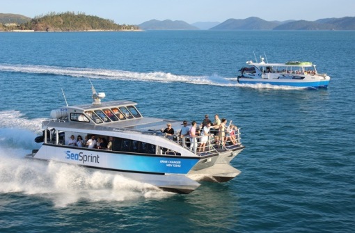 時(shí)代背景下的璀璨星辰，最新號(hào)號(hào)天堂綜述