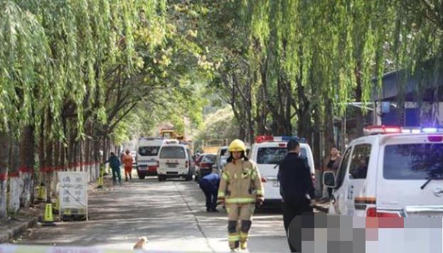 安陽最新事件，溫馨日常與不期而遇的友情之旅