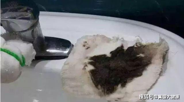 揭秘水污染真相，小杰的河流探索之旅——溫馨河流的秘密揭秘視頻