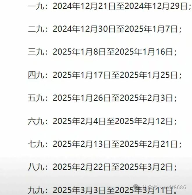 最新久久網(wǎng)2025，友情小船與溫馨日常的交織