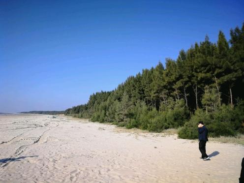 揭秘2025最新臺(tái)風(fēng)路線，提前預(yù)警，保障安全無(wú)憂