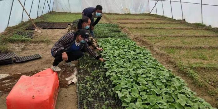 策勒最新招聘啟航人才新篇章，學(xué)習(xí)變化，擁抱自信與成就，啟程人生新征程！