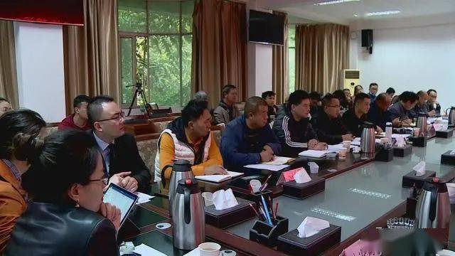 德昌最新新聞，擁抱自然，心靈寧靜之旅啟程