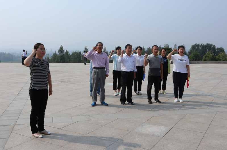 肥城房產(chǎn)最新動態(tài)，市場走勢、熱門區(qū)域與案例分析