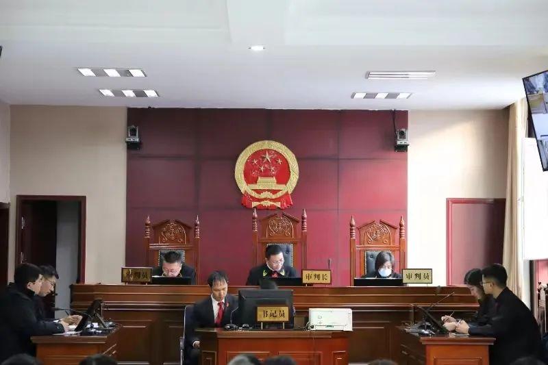 偏關最新案件深度解析，揭示真相，關注社會公正與公平