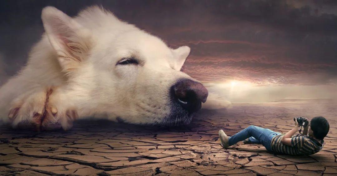 夢境最新研究揭秘，探索人類夢境的奧秘