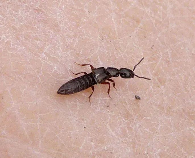 高效應對問題關鍵策略，最新處理方法詳解