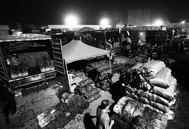 掌握新技能與完成任務(wù)，最新趨勢下的步驟指南