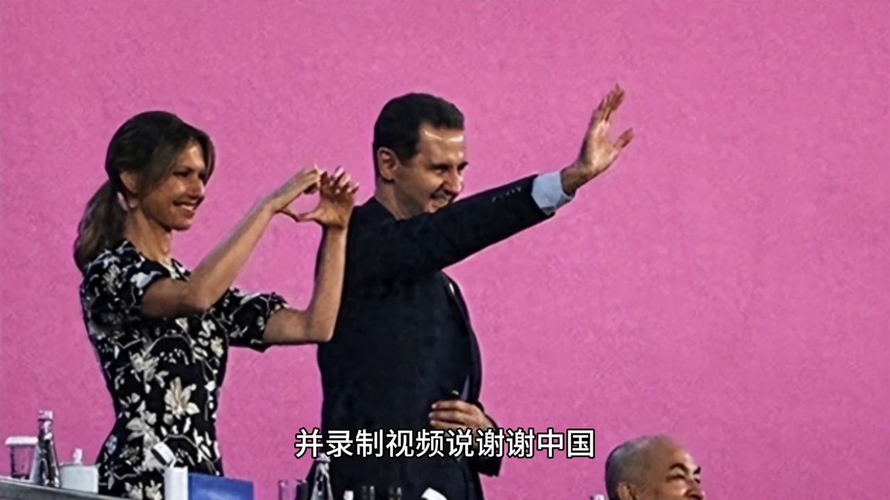 最新高包機(jī)科技，重塑生活，前沿體驗(yàn)盡在掌握