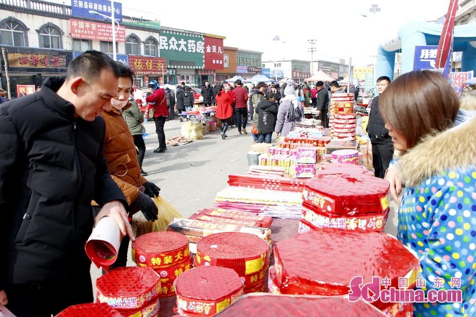 淘元素最新，淘淘的奇妙冒險之旅與友情的溫暖體驗