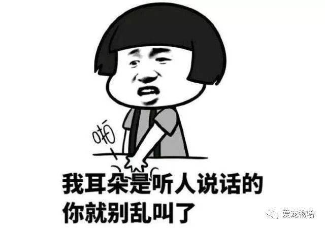 最新枕邊笑話，科技小寶貝，生活添樂趣