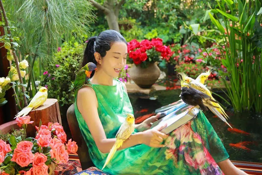 昆明最新舞蹈，文化現(xiàn)象的深度探討