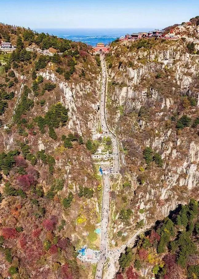 泰山最新聞，觀點(diǎn)與立場(chǎng)的深度探討