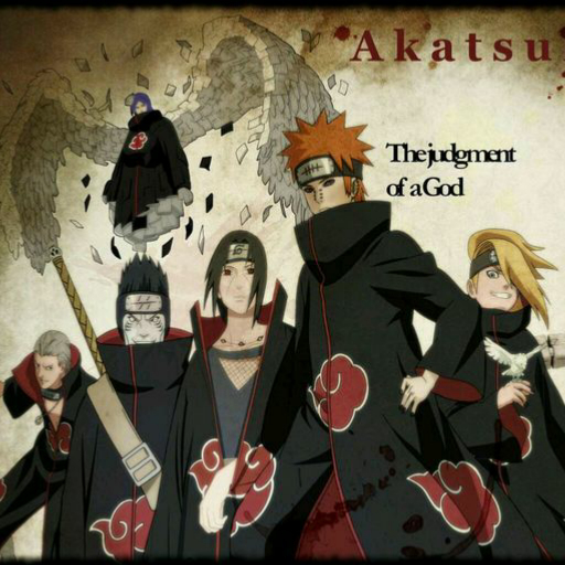 曉組織最新動(dòng)態(tài)揭秘，探究其發(fā)展與影響