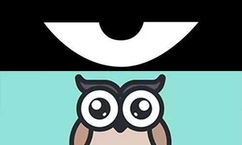 最新積目，全面解讀與觀點(diǎn)闡述