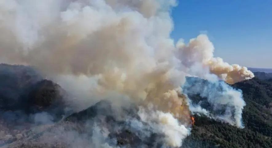 榆社山火防控指南，從初學(xué)者到進(jìn)階用戶的全步驟學(xué)習(xí)與防火任務(wù)實(shí)踐