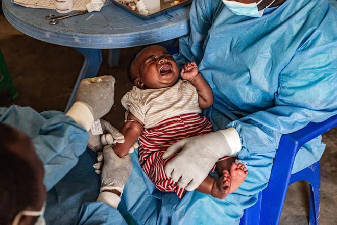 本土感染最新情況，自然美景中的探索之旅