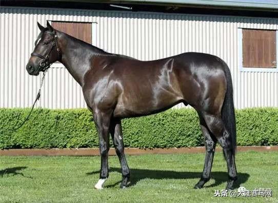 卡拉卡最新指南，任務(wù)完成與技能學(xué)習(xí)步驟攻略