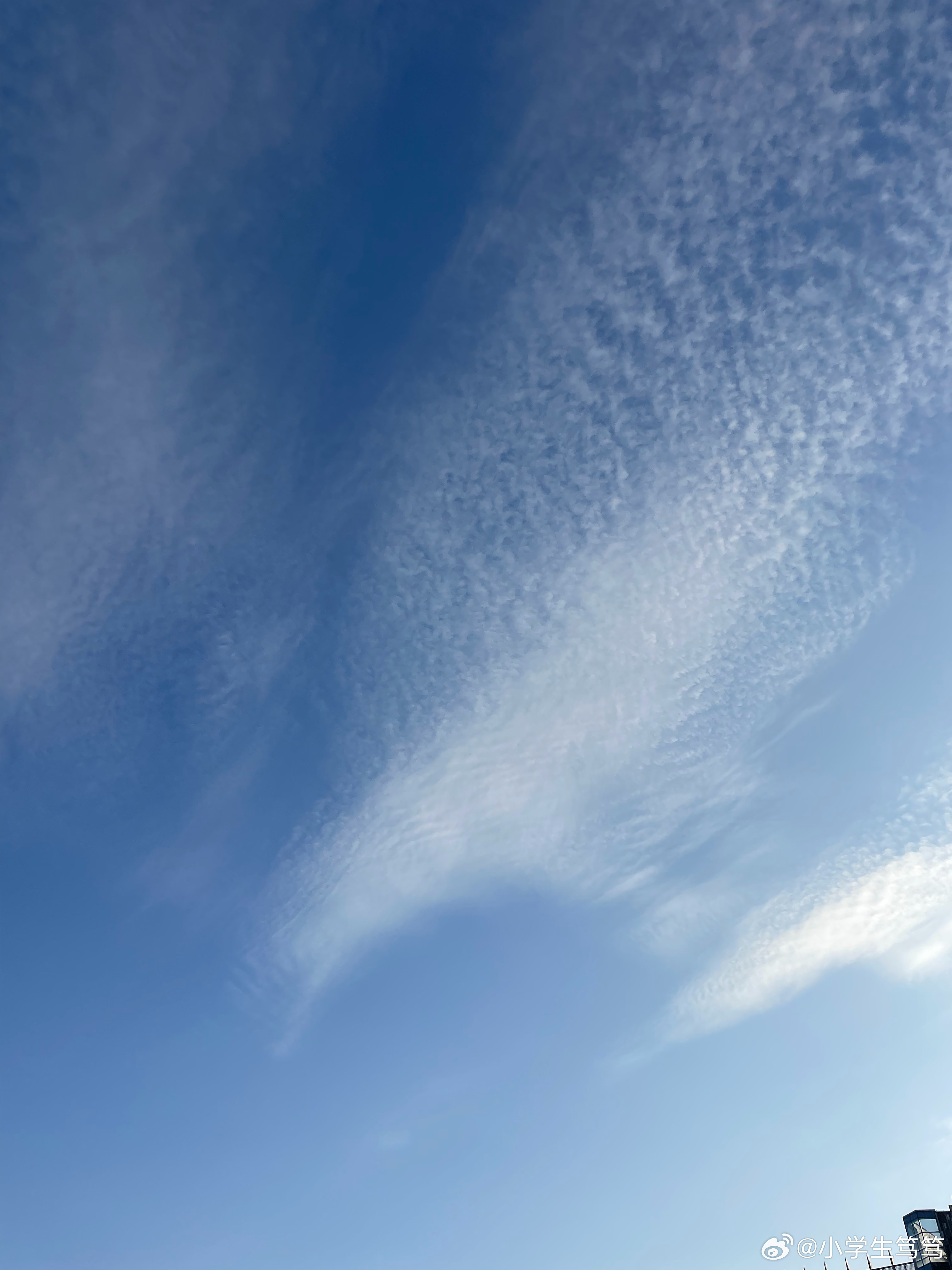 云飄飄最新，小巷深處的獨(dú)特風(fēng)味美食體驗(yàn)