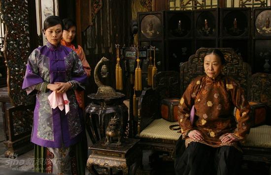 鐵梨花最新更新，日常生活中的趣事與情感紐帶