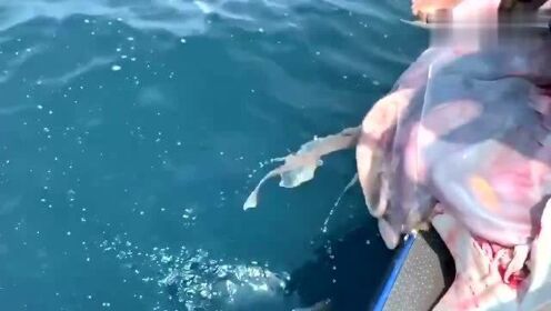 最新魚人流技術(shù)革命，高科技產(chǎn)品重塑未來(lái)生活體驗(yàn)