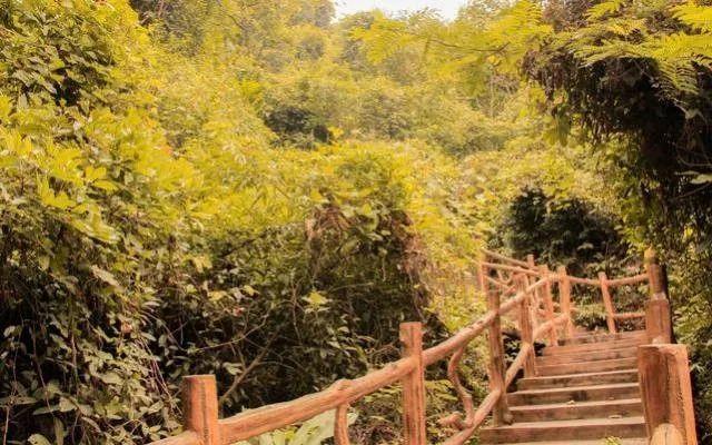 運(yùn)動場館燈具 第68頁