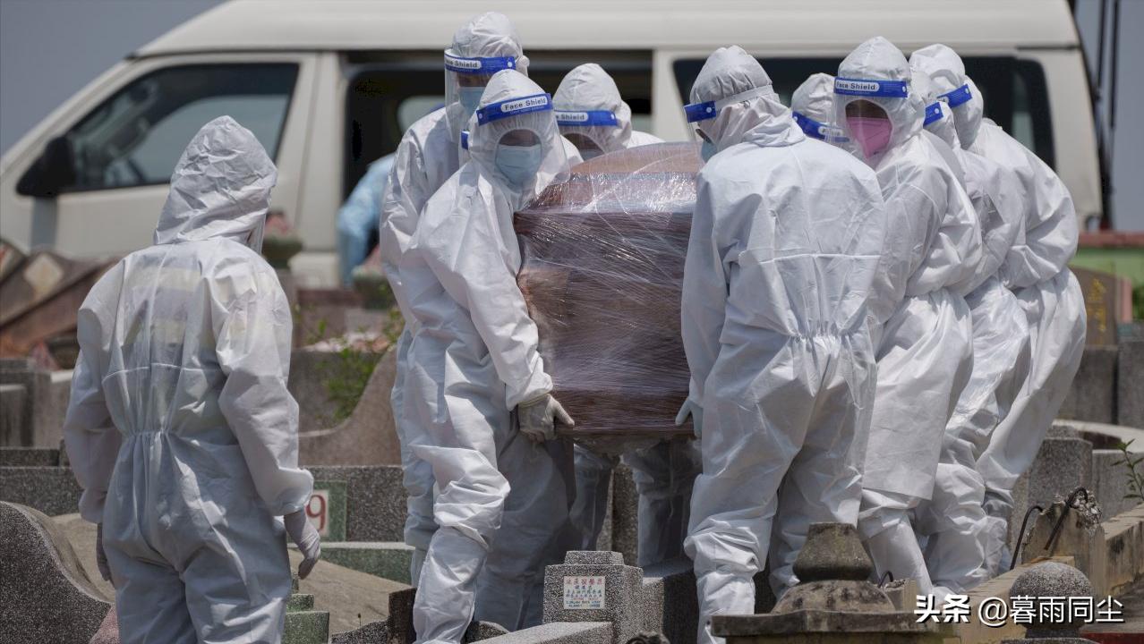 最新疫病統(tǒng)計步驟指南與最新統(tǒng)計更新