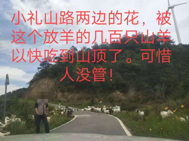 大悟最新路，探索未知，自信成就夢想之旅的啟程