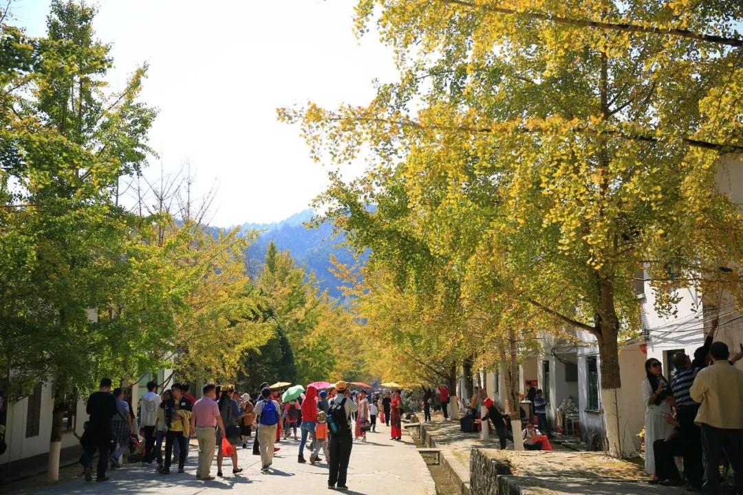 南雄最新現(xiàn)狀，科技前沿產(chǎn)品引領(lǐng)未來(lái)生活發(fā)展