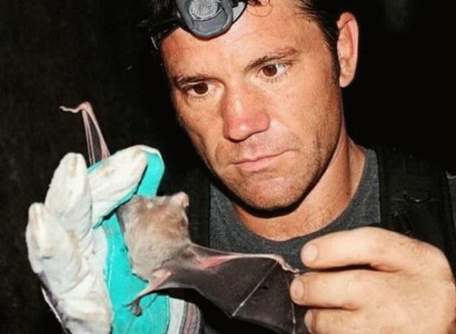 蝙蝠最新電影，自信與成長(zhǎng)的翅膀，勵(lì)志翱翔天空之旅