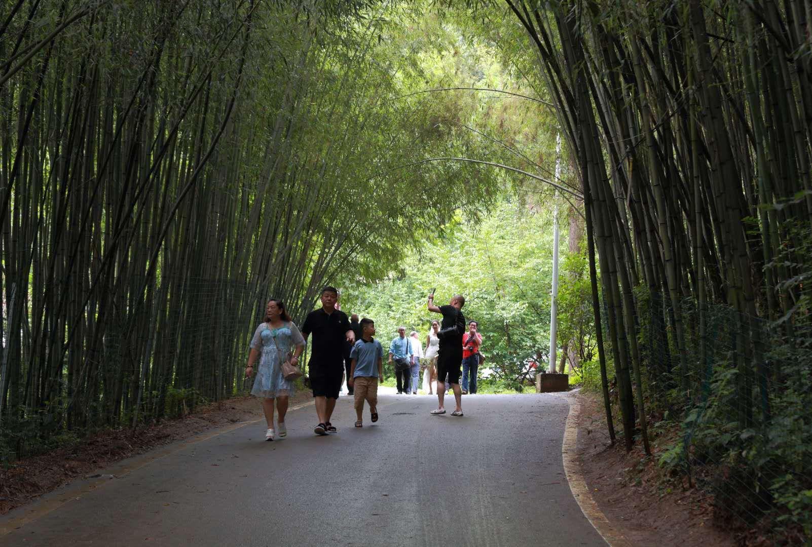 全家最新優(yōu)惠攻略，一步步教你享受最大優(yōu)惠折扣！