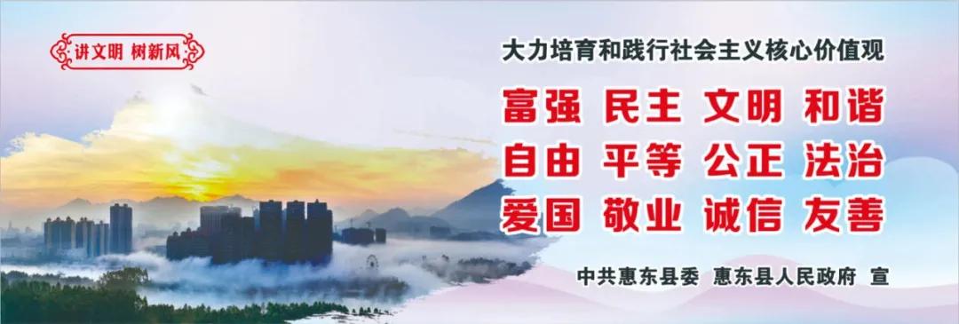 惠州肺炎最新動態(tài)，小巷深處的獨特小店背后的故事