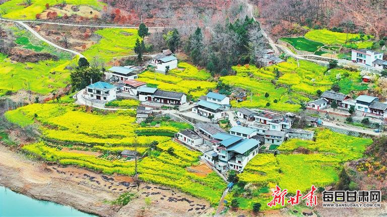揭秘文縣，歷史背景、重大事件與時代地位全景展示