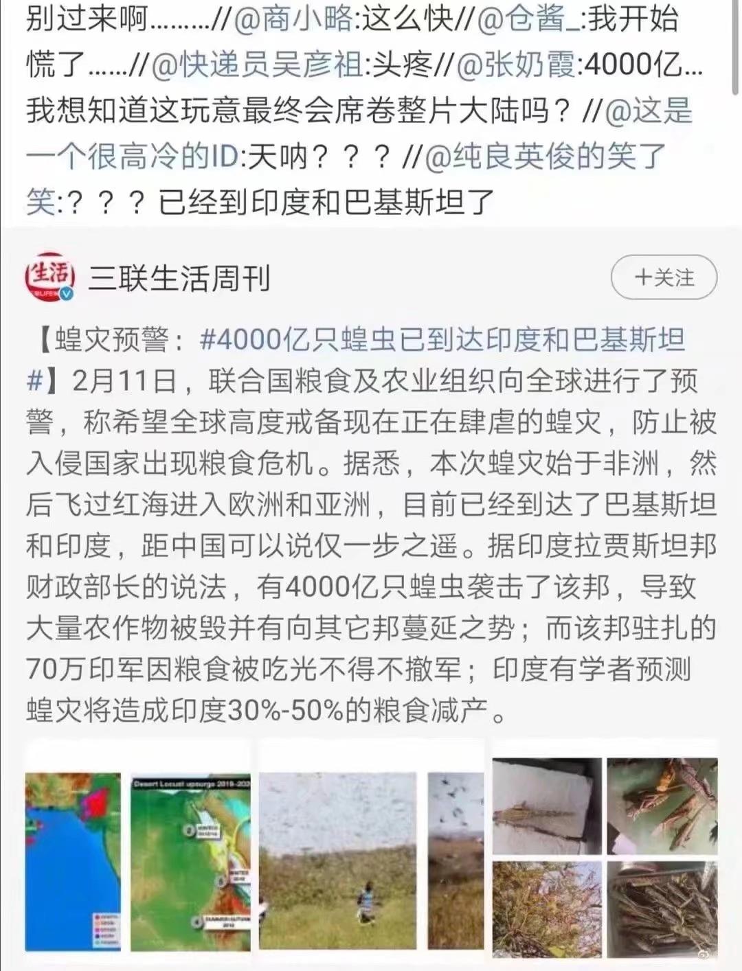 蝗蟲最新動態(tài)，防治與監(jiān)測的全面指南