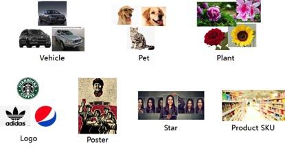 模型壓縮最新進(jìn)展，帶你探索前沿科技，高效應(yīng)用輕松實(shí)現(xiàn)！