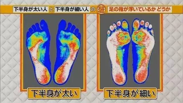 最新地趾論述，探索、爭議與觀點(diǎn)綜述
