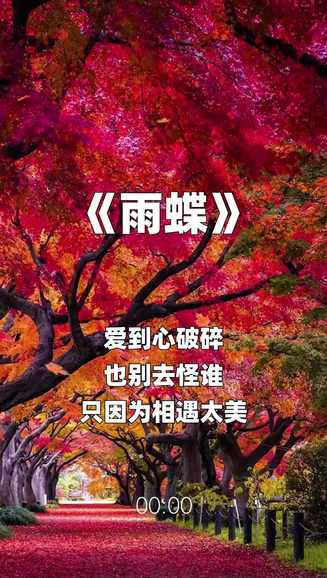 雨蝶最新步驟指南，如何完成任務(wù)或?qū)W習(xí)技能？
