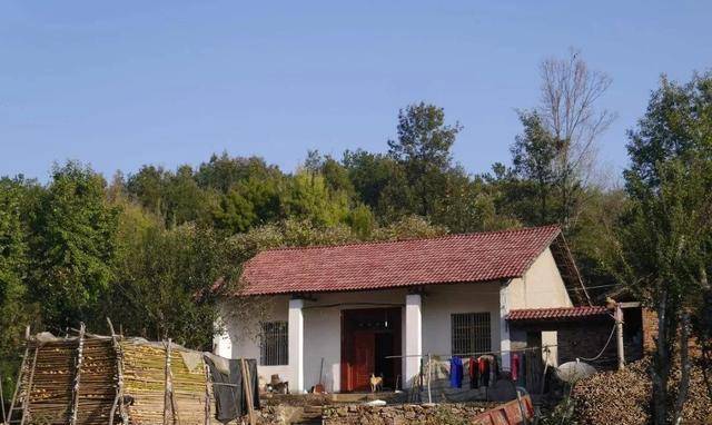 新時(shí)代田園生活揭秘，鄉(xiāng)村農(nóng)村的最新風(fēng)貌與體驗(yàn)