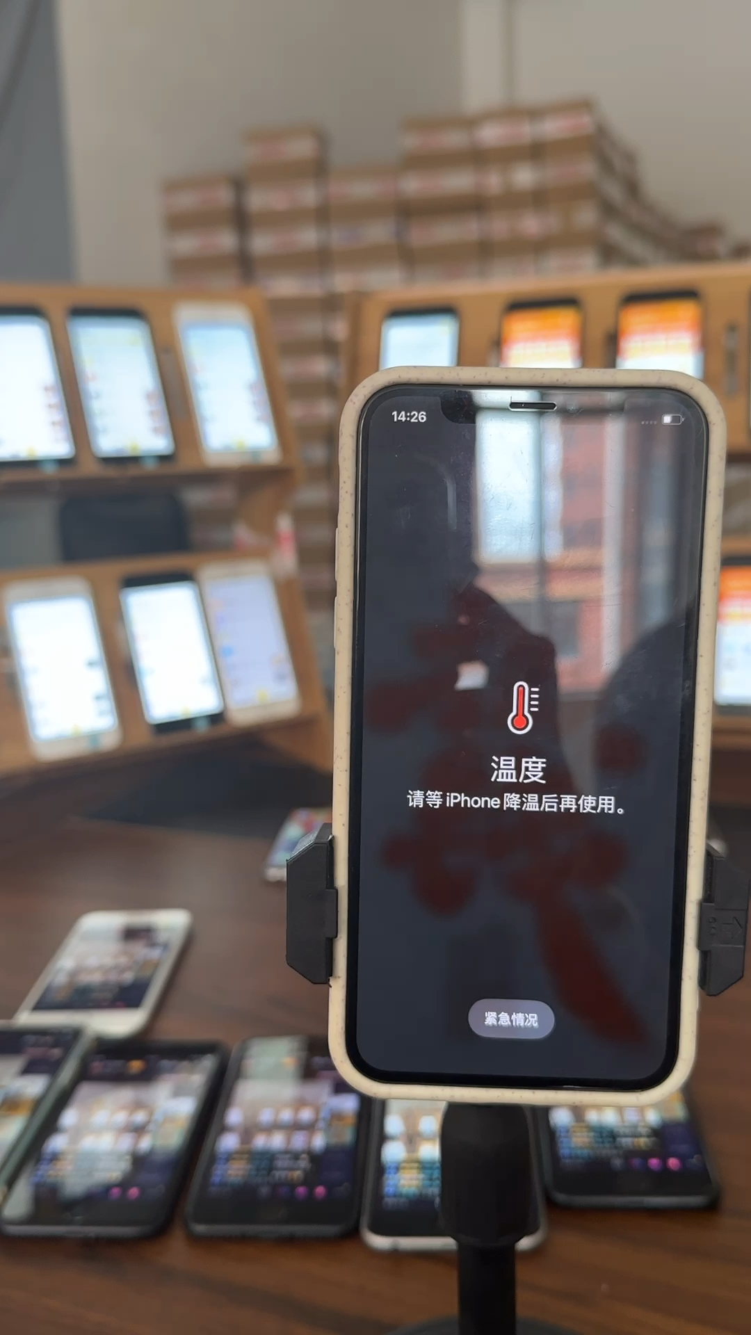 蘋果最新直播，科技與文化的完美融合盛宴