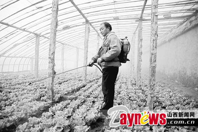 最新農(nóng)藥抽檢結(jié)果出爐，守護農(nóng)田安全，你我他的共同責任