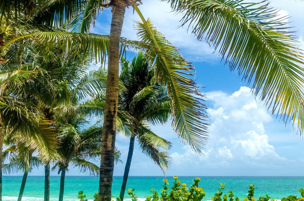 科技重塑旅行體驗(yàn)，最新付費(fèi)機(jī)場概覽