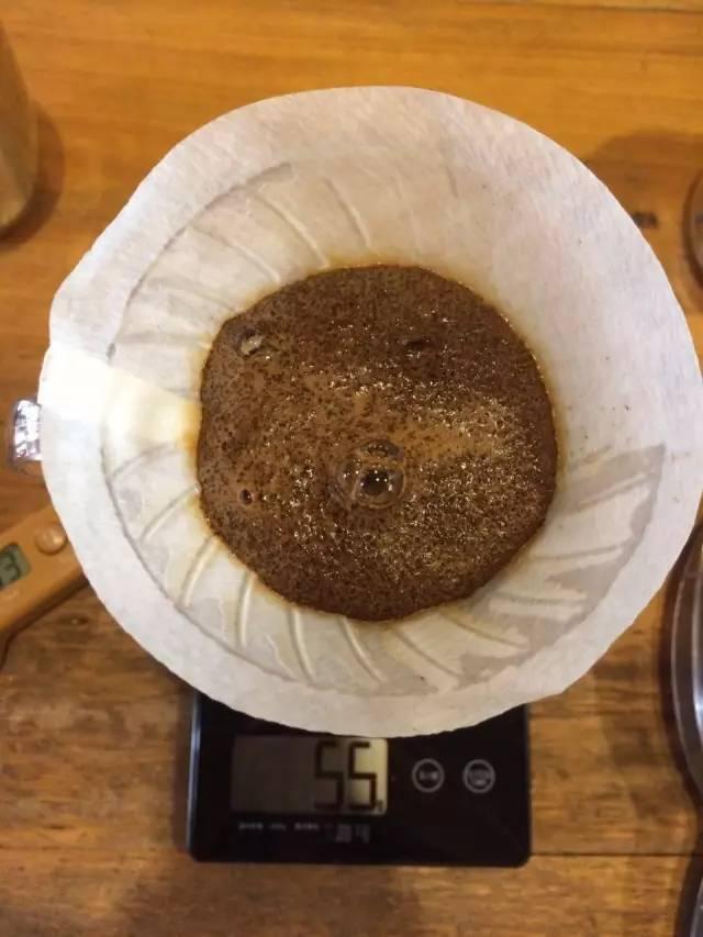 最新萃取法詳解，步驟指南與操作技巧