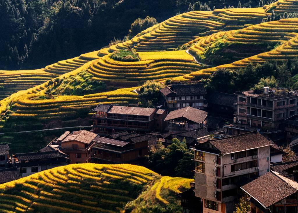 金秋天最新時尚潮流，獨特風(fēng)情展現(xiàn)魅力風(fēng)采