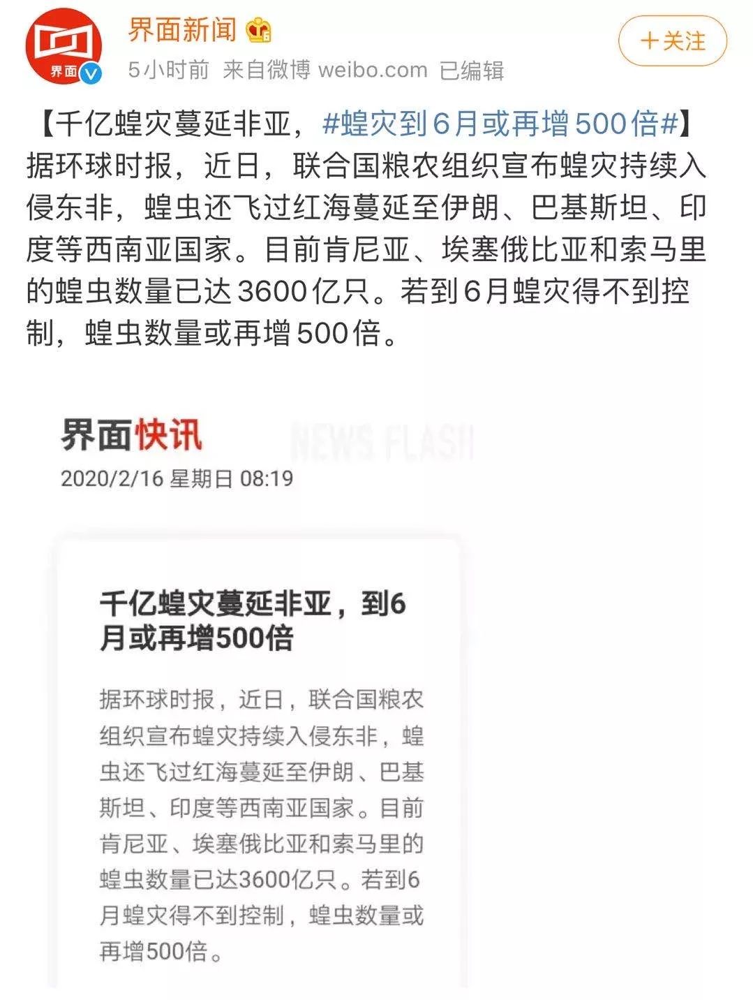 世界蝗災最新動態(tài)，探索自然美景的輕松之旅