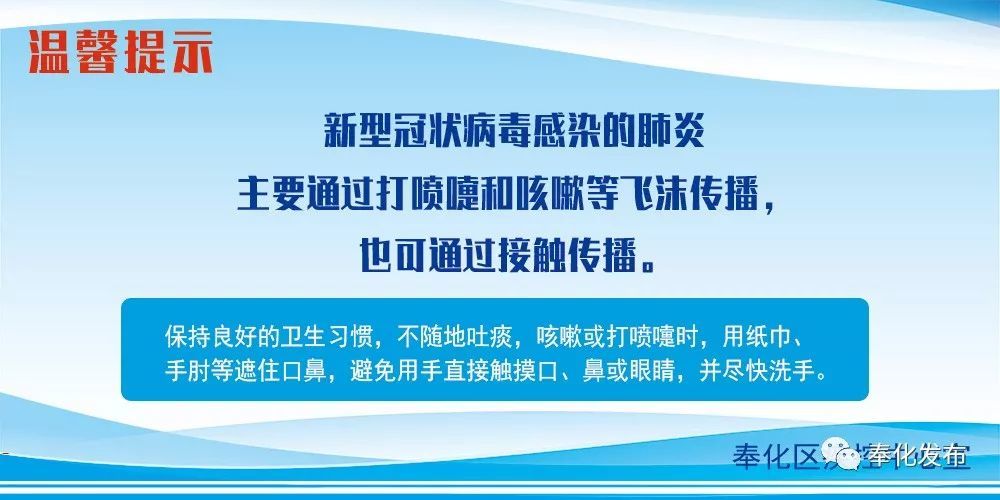 余姚最新確診背后的自然探索之旅，重拾心靈寧靜與平和