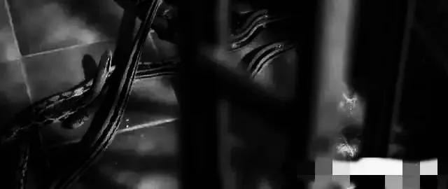 香港最新房價(jià)趨勢展望，2025年分析與展望