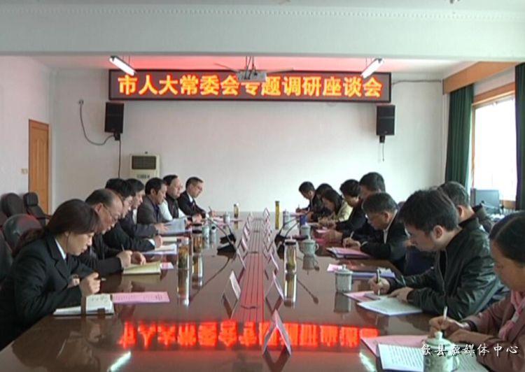 安徽歙縣最新動(dòng)態(tài)，小巷深處的驚喜