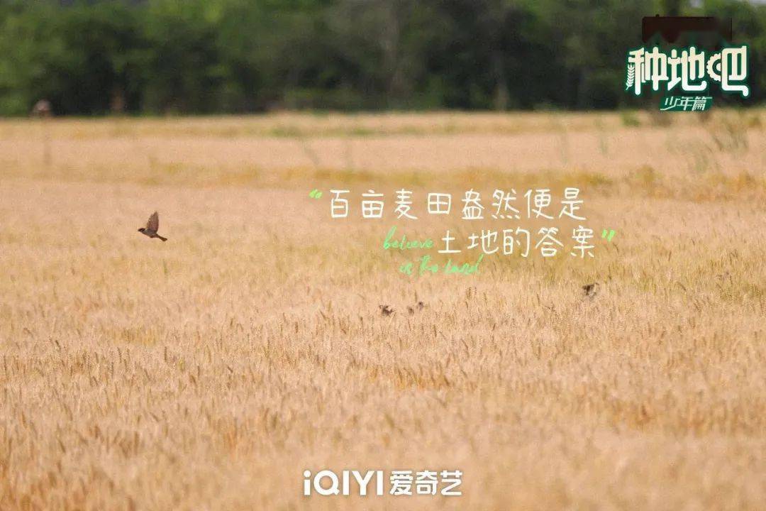 種地吧最新語(yǔ)錄，探索未來(lái)農(nóng)業(yè)的高科技魅力