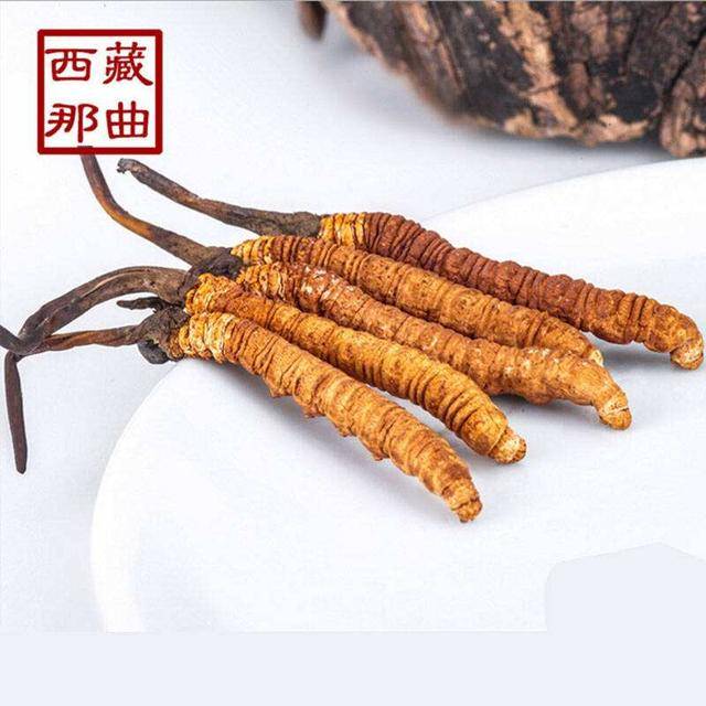 揭秘2025年蟲草最新價(jià)格，探尋小巷中的秘密行情！