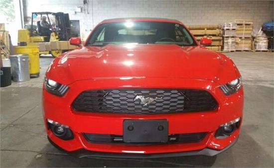 威路德最新款，小巷中的驚喜發(fā)現(xiàn)